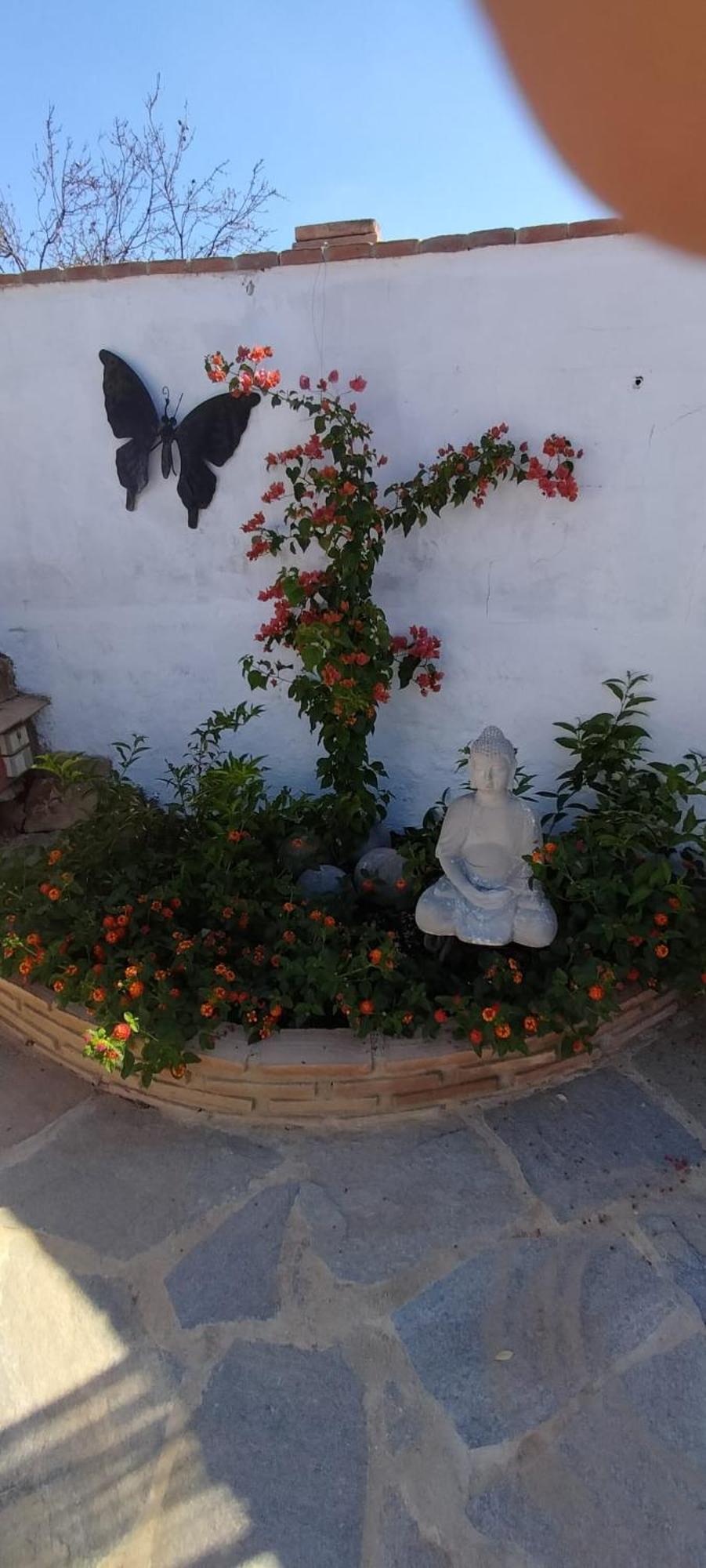 Casa Ceratonia Panzió Álora Kültér fotó