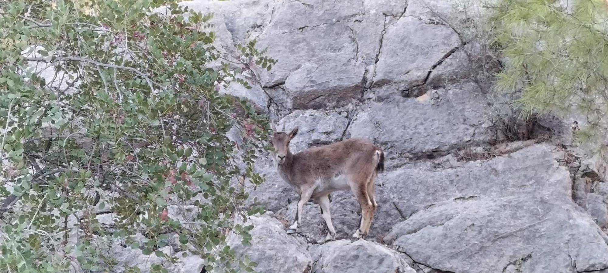 Casa Ceratonia Panzió Álora Kültér fotó